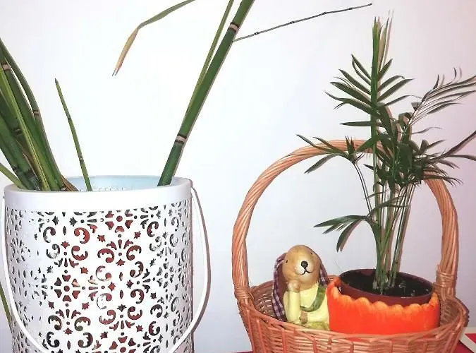 Apartament's Veiga Areeiro