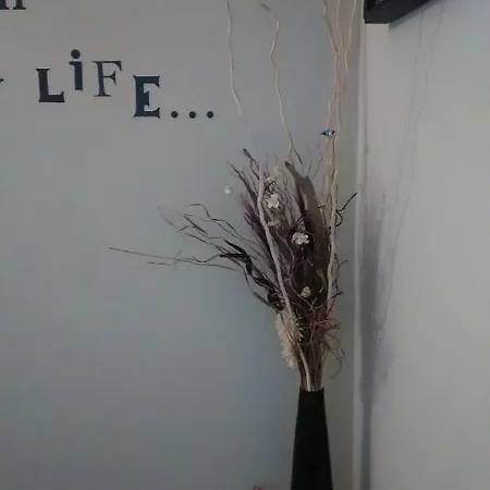 Apartament's Veiga Areeiro *