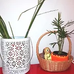 Apartament's Veiga Areeiro