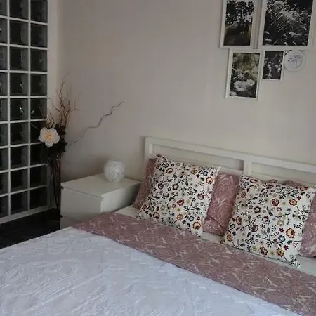 Gæstehus Apartament's Veiga Areeiro *