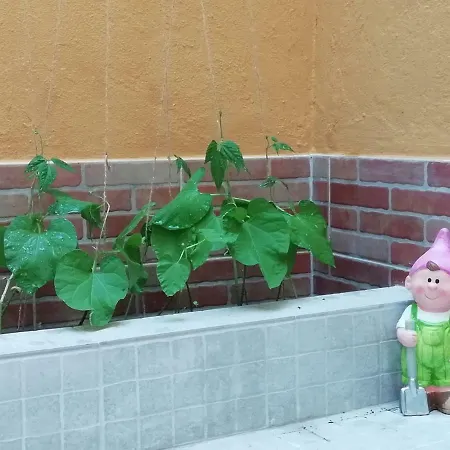 Apartament's Veiga Areeiro Gæstehus *